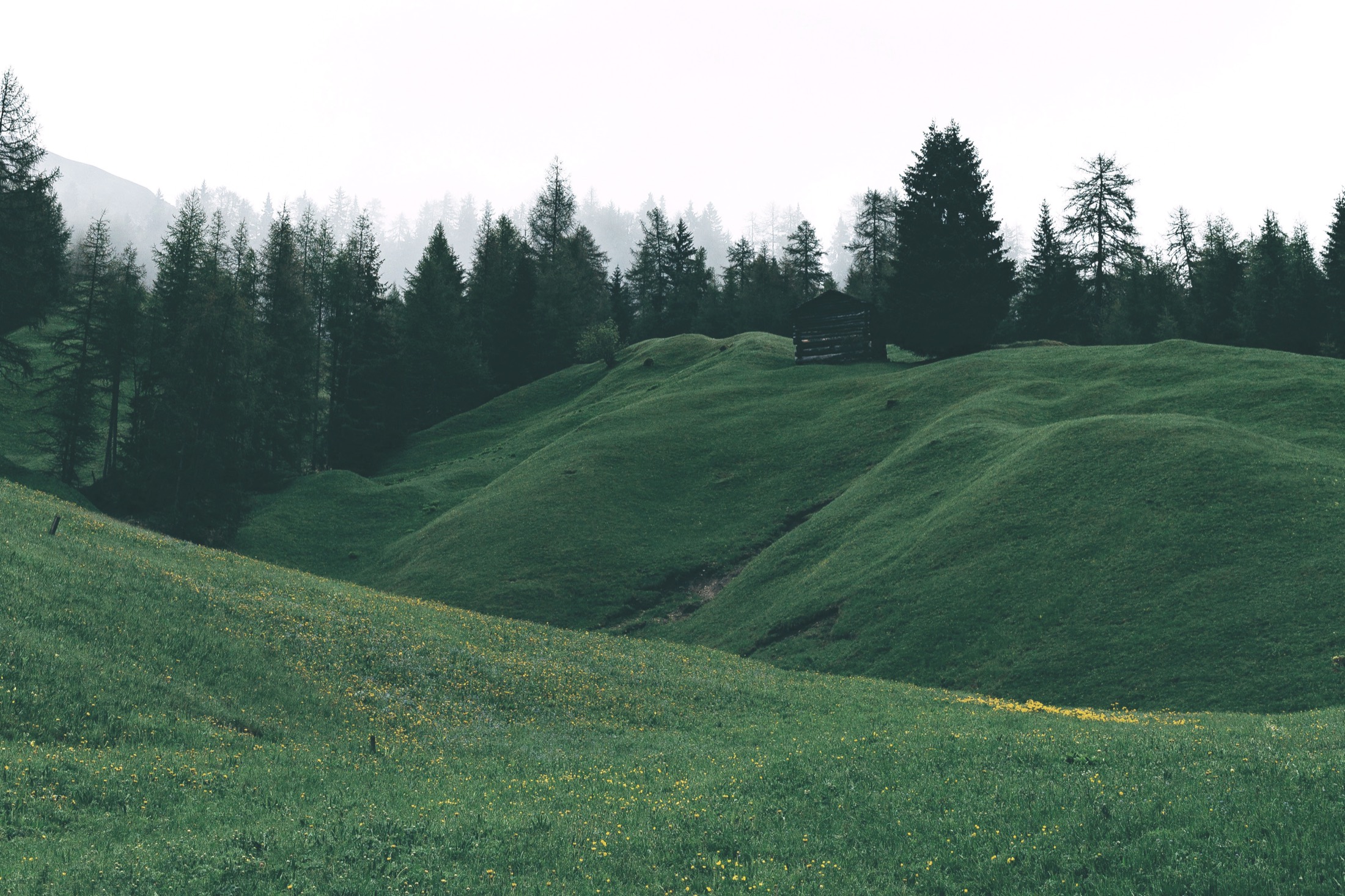 Sanfte grüne Hügellandschaft mit Bauernhütte und Wald in den Schweizer Bergen